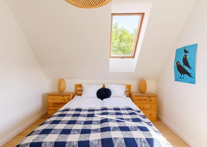 Betula * Zieleniewo (Kolobrzeg)